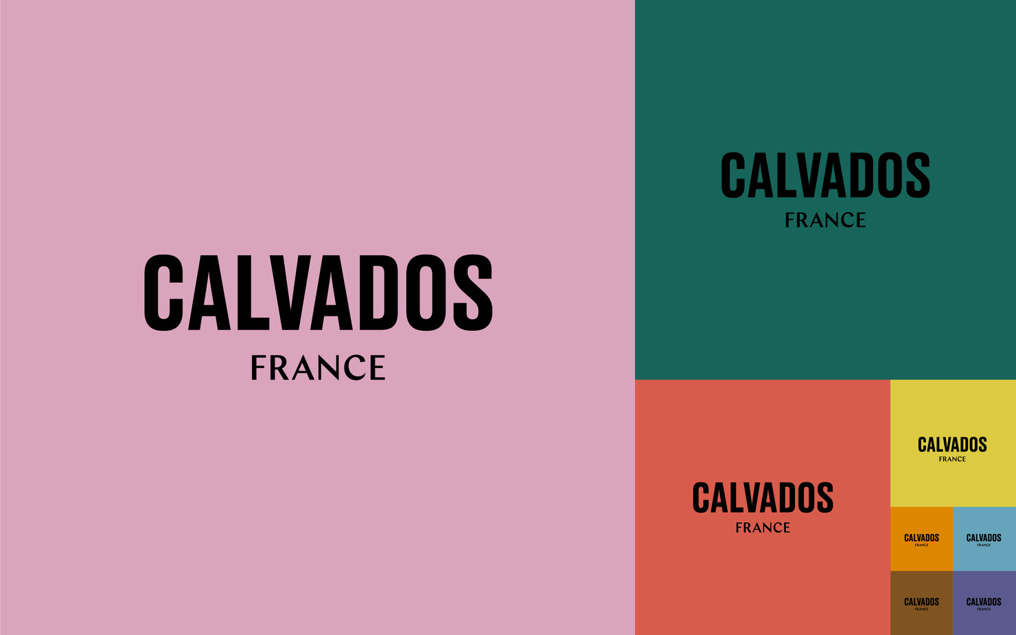 Illustration du projet Calvados pour le client Inter­pro­fes­sion des Appel­la­tions Cidricoles