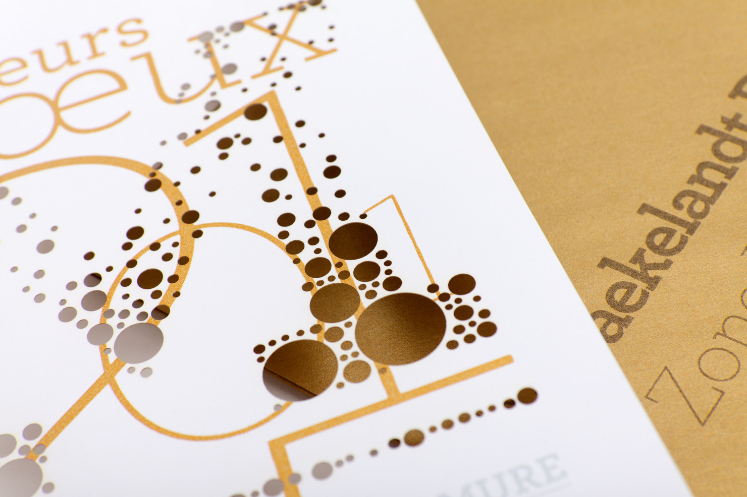 Illustration du projet Carte de vœux 2011 pour le client Murmure