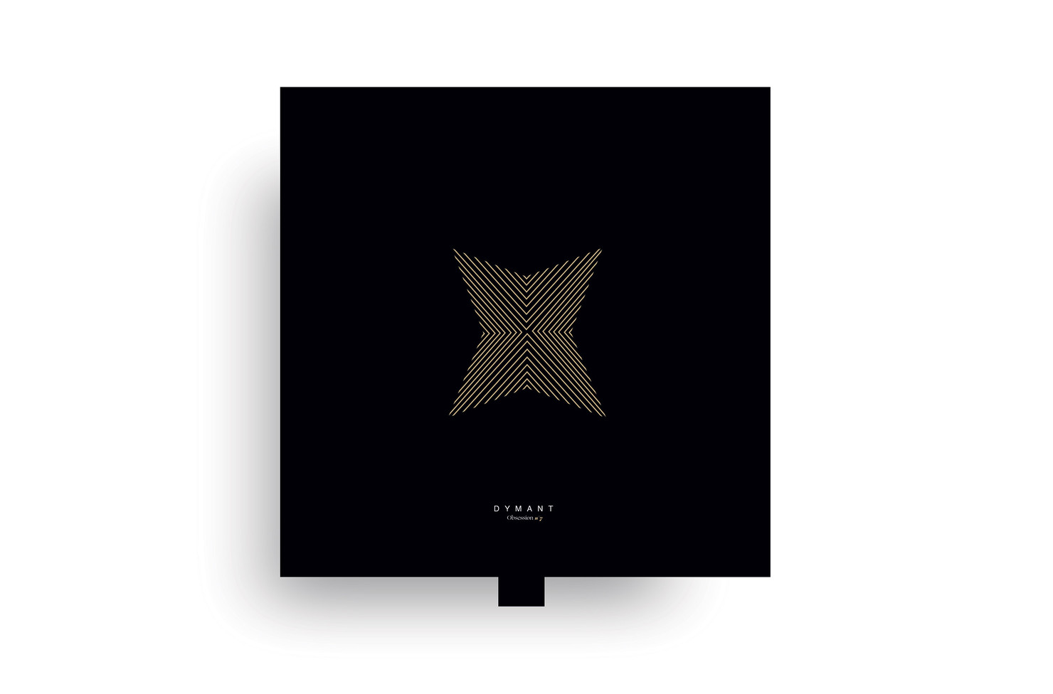 Illustration du projet Dymant pour le client Dymant