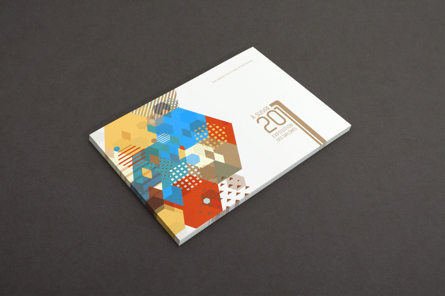 Illustration du projet À suivre… pour le client Ecole Supérieure d’Arts & Médias de Caen-Cherbourg