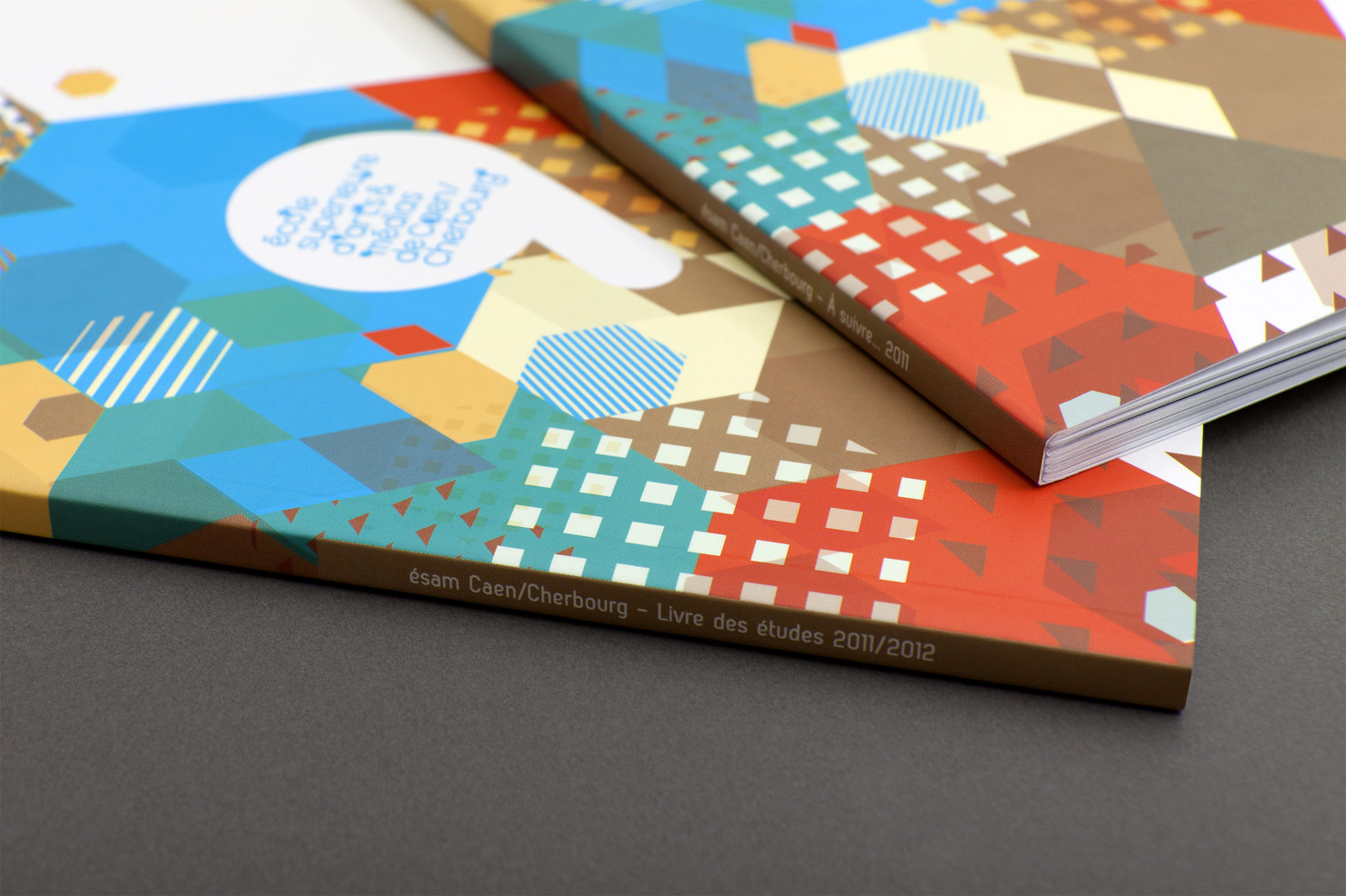Illustration du projet À suivre… pour le client Ecole Supérieure d’Arts & Médias de Caen-Cherbourg