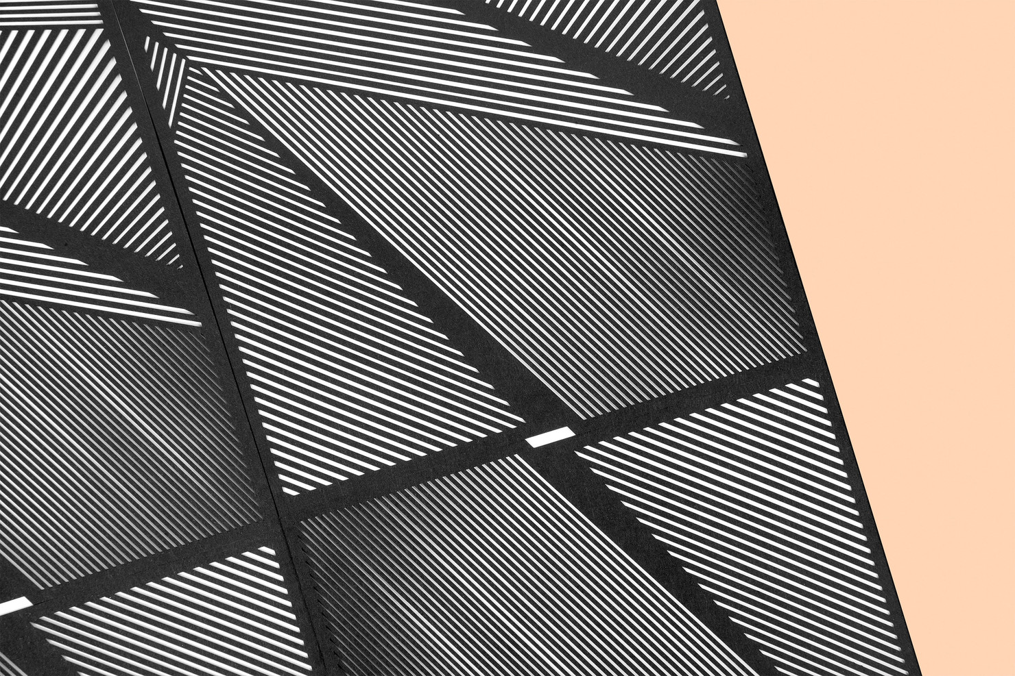 Illustration du projet EXO Artwork pour le client EXO Architectes