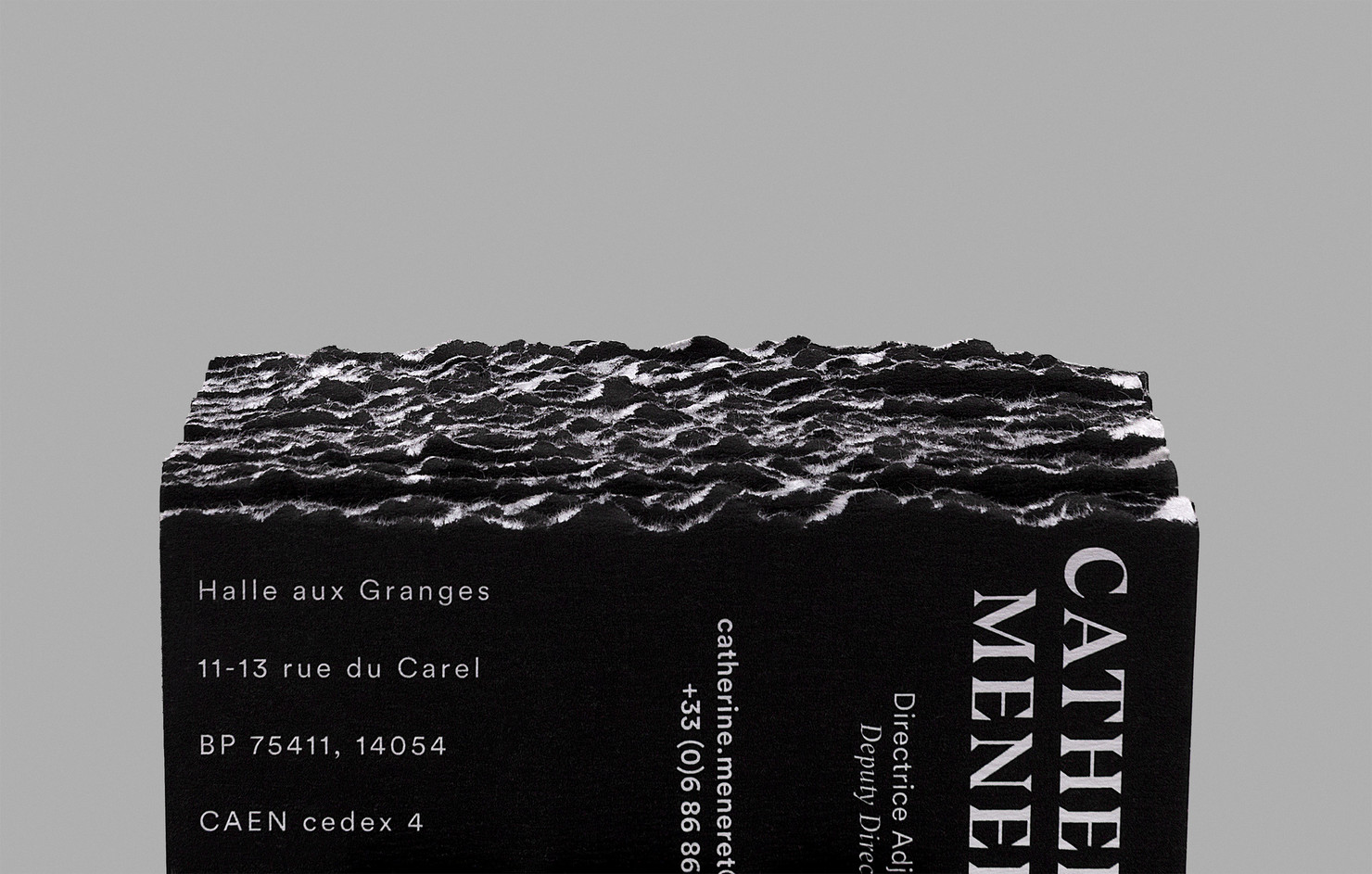 Illustration du projet CCN Caen pour le client Centre chorégraphique national de Caen en Normandie