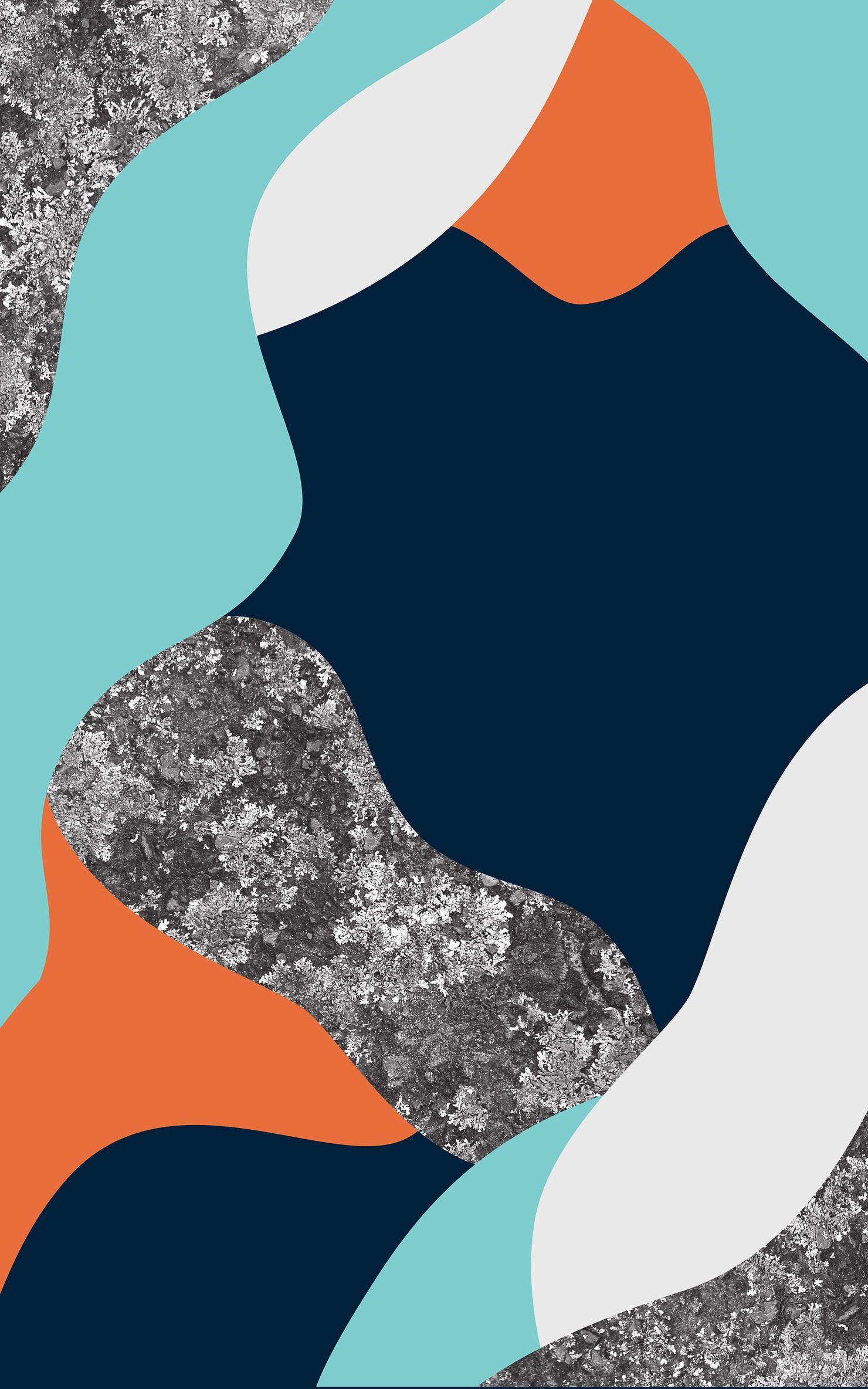 Illustration du projet P2N 17 pour le client Festival Papillons de Nuit