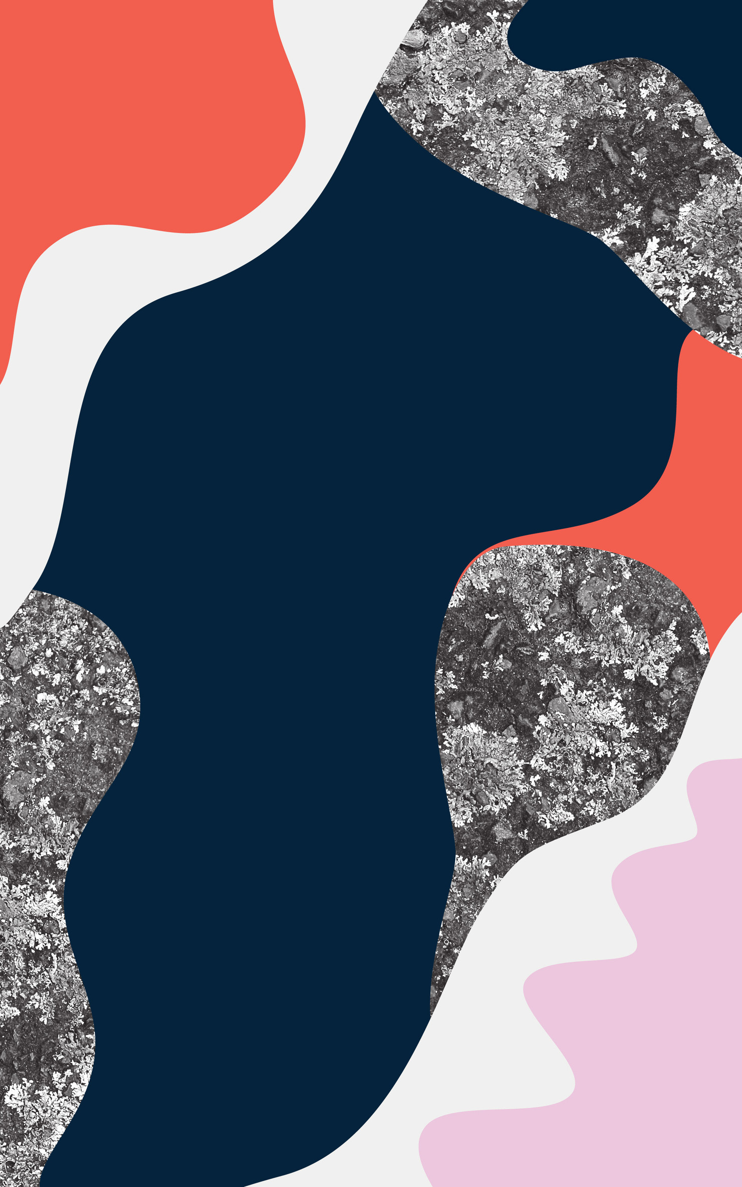 Illustration du projet P2N 17 pour le client Festival Papillons de Nuit