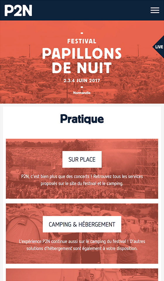Illustration du projet P2N 17 pour le client Festival Papillons de Nuit