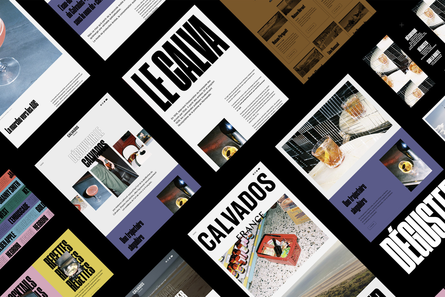 Illustration du projet Calvados Website pour le client Inter­pro­fes­sion des Appel­la­tions Cidricoles