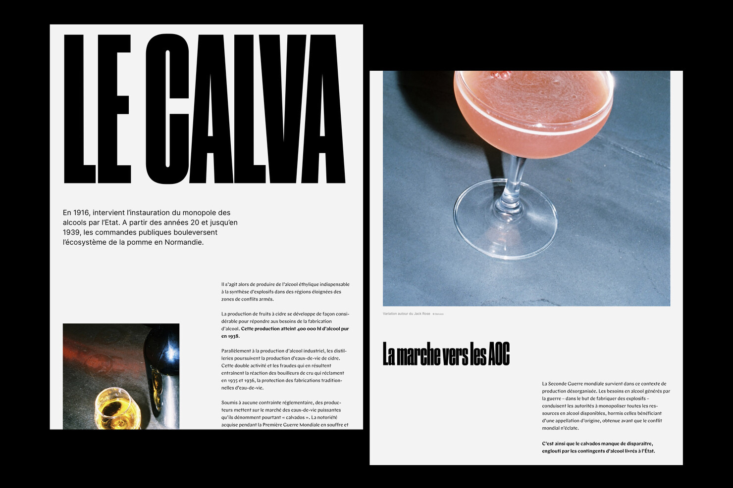 Illustration du projet Calvados Website pour le client Inter­pro­fes­sion des Appel­la­tions Cidricoles