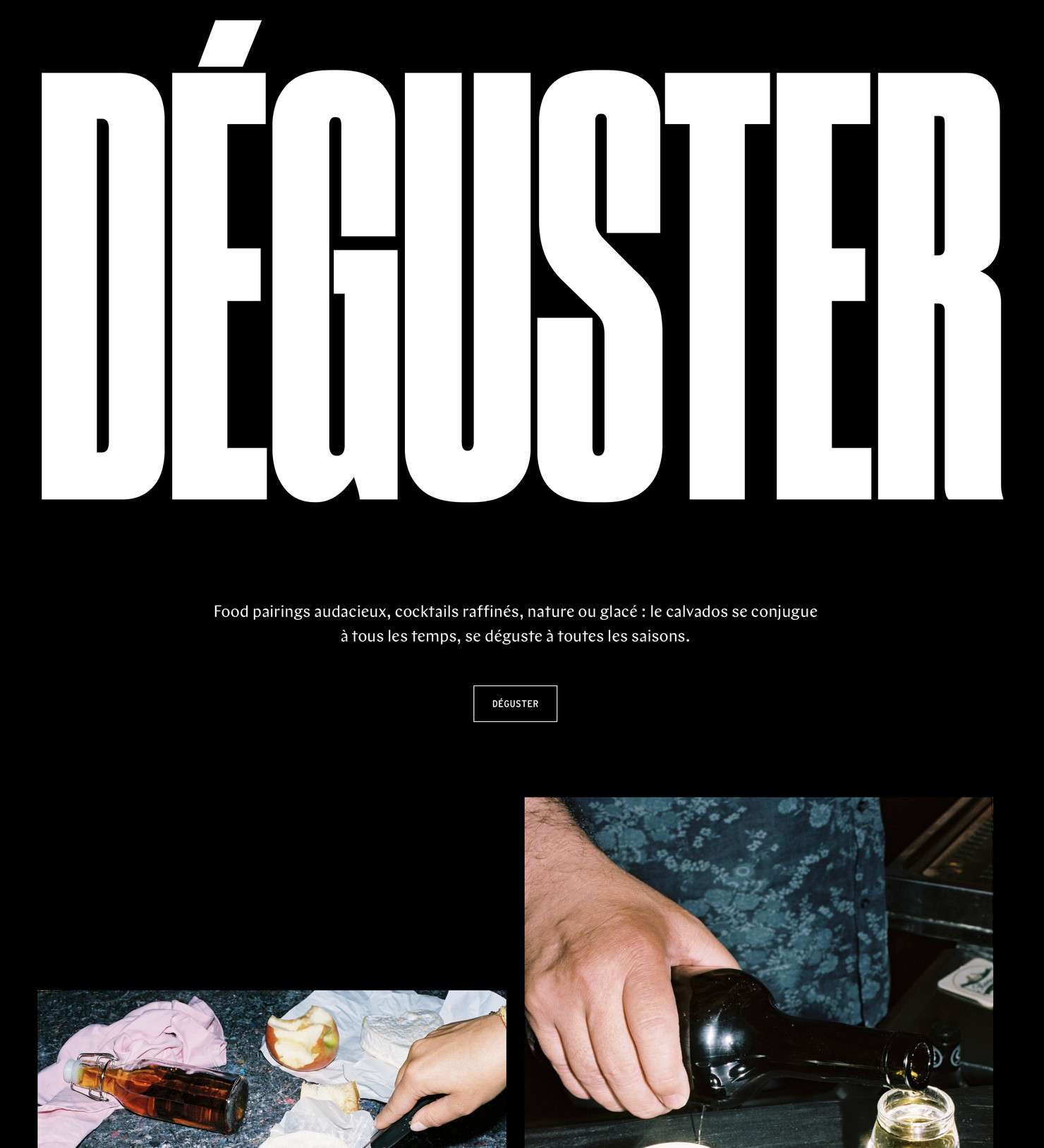 Illustration du projet Calvados Website pour le client Inter­pro­fes­sion des Appel­la­tions Cidricoles