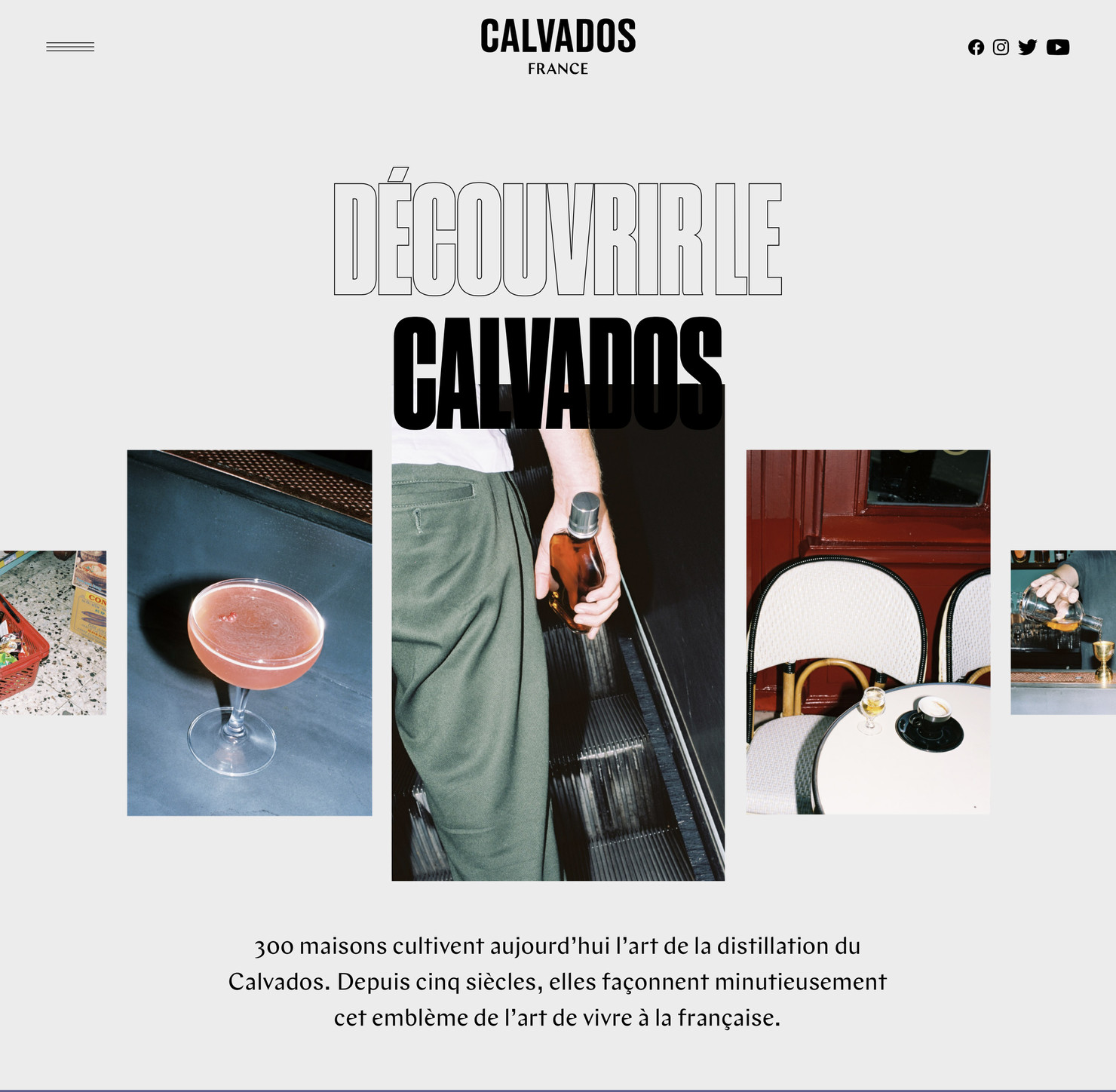 Illustration du projet Calvados Website pour le client Inter­pro­fes­sion des Appel­la­tions Cidricoles