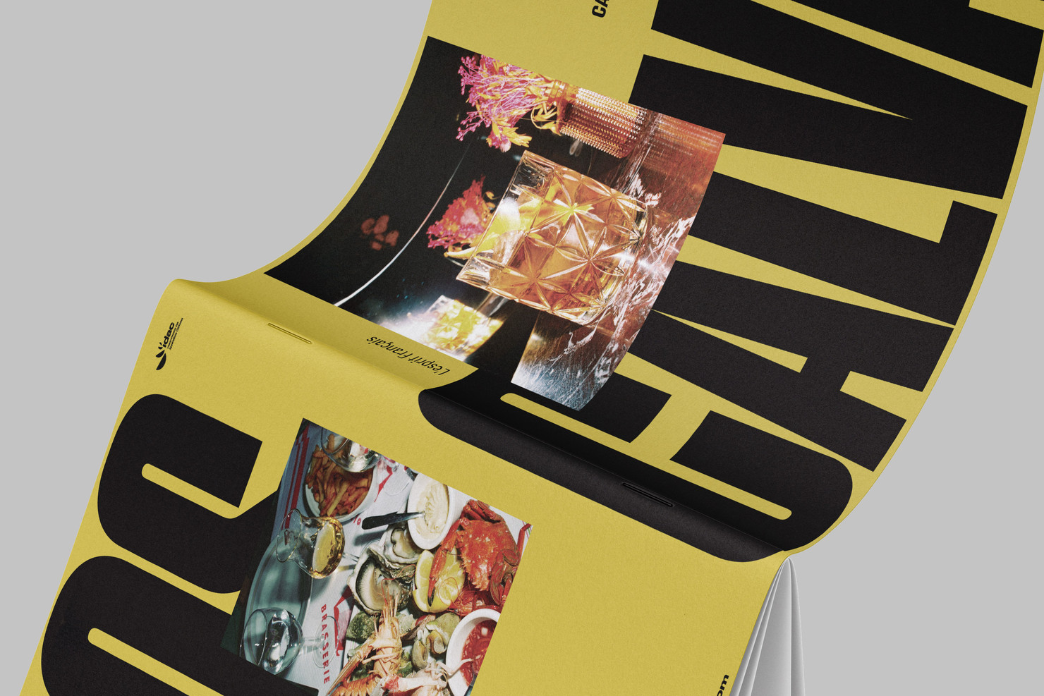 Illustration du projet Calvados Journal pour le client Inter­pro­fes­sion des Appel­la­tions Cidricoles