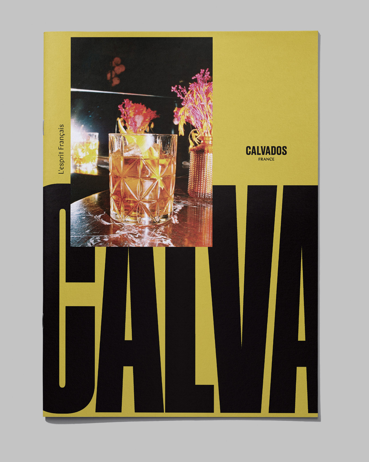 Illustration du projet Calvados Journal pour le client Inter­pro­fes­sion des Appel­la­tions Cidricoles