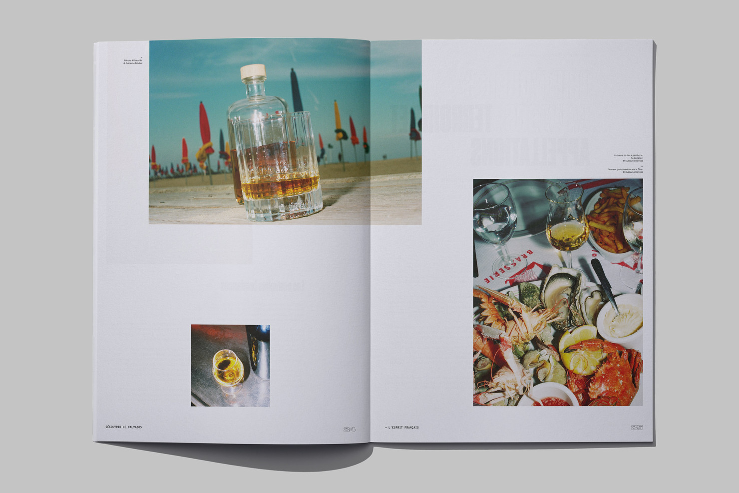 Illustration du projet Calvados Journal pour le client Inter­pro­fes­sion des Appel­la­tions Cidricoles