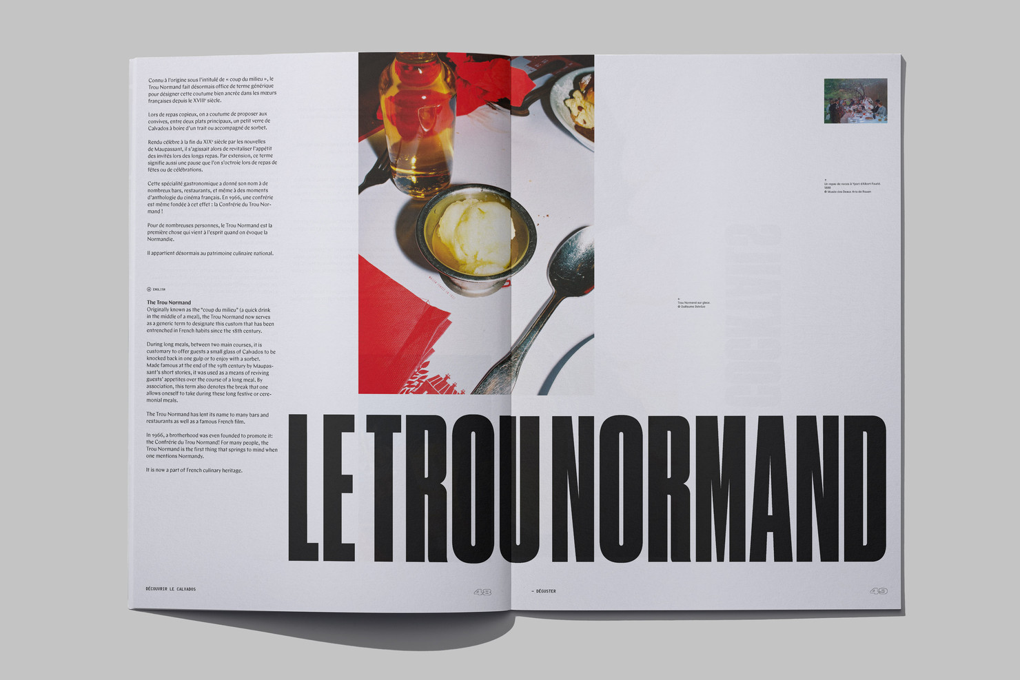 Illustration du projet Calvados Journal pour le client Inter­pro­fes­sion des Appel­la­tions Cidricoles