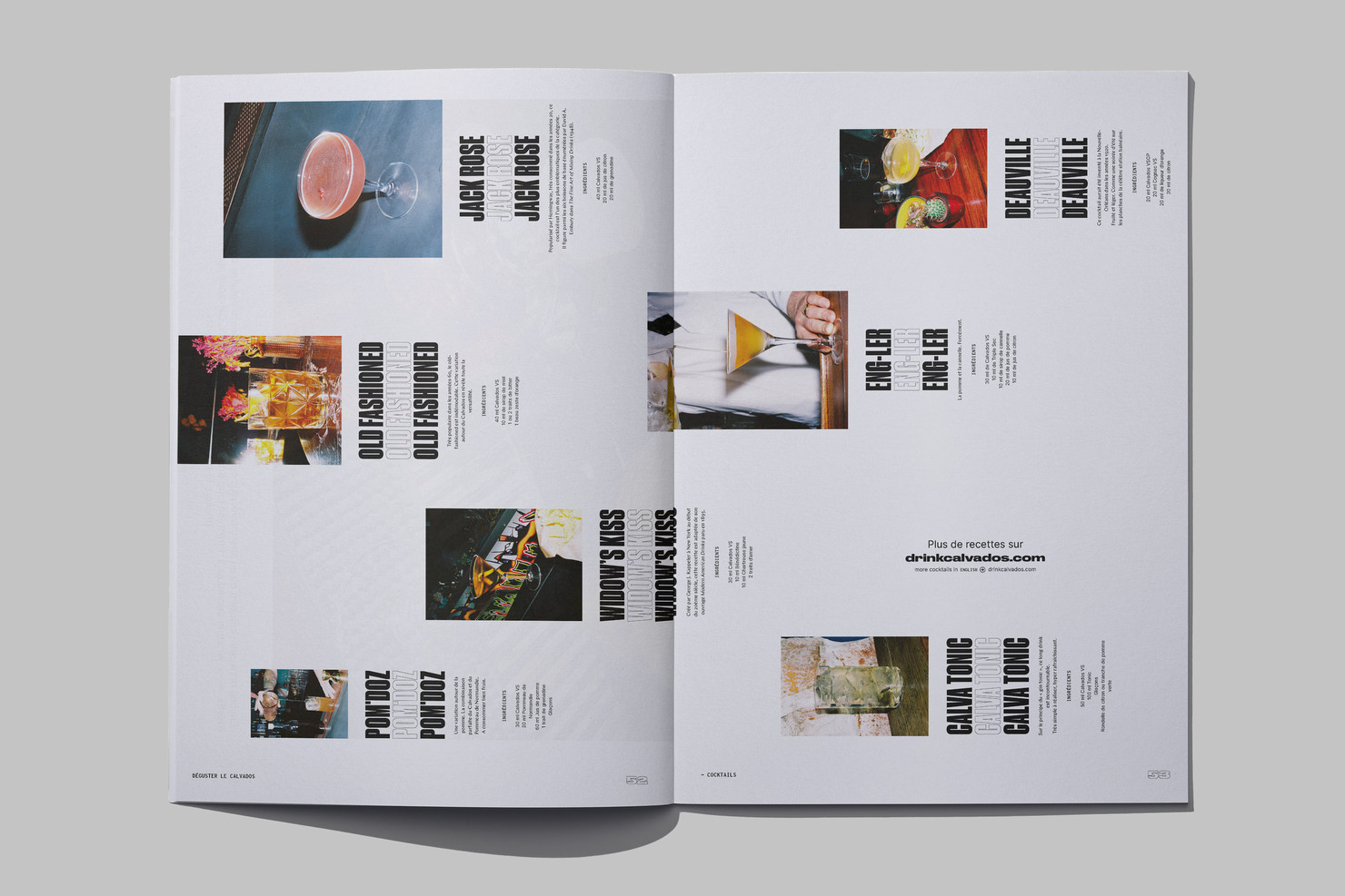 Illustration du projet Calvados Journal pour le client Inter­pro­fes­sion des Appel­la­tions Cidricoles