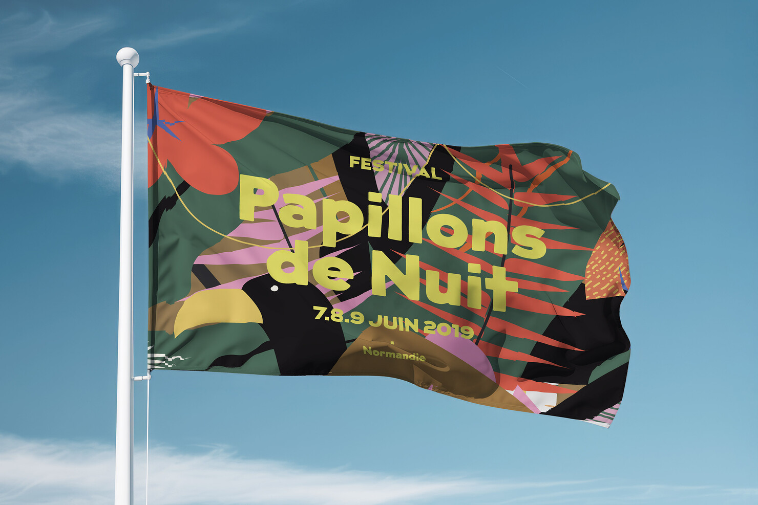 Illustration du projet P2N 19 pour le client Festival Papillons de Nuit