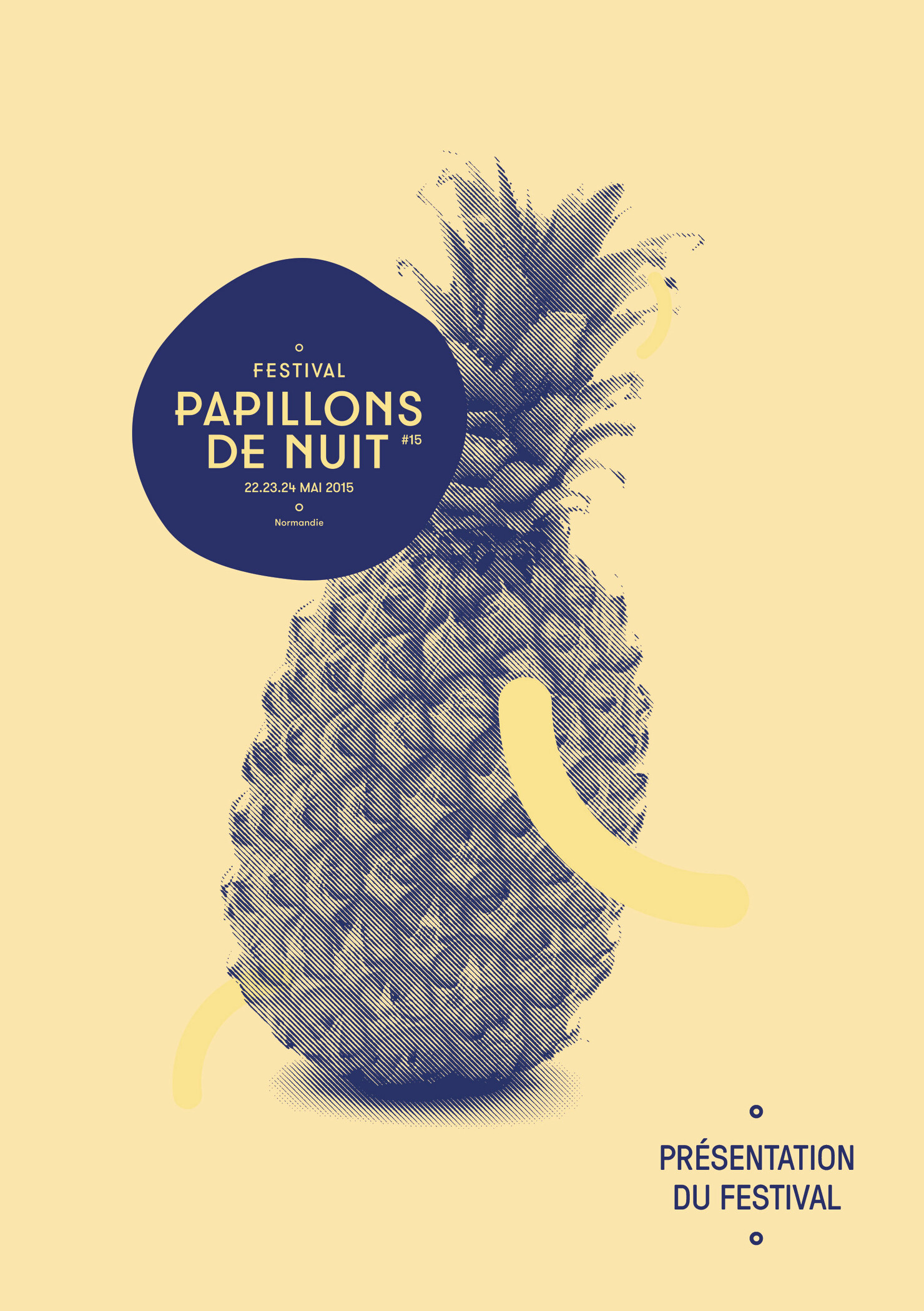 Illustration du projet P2N 15 pour le client Festival Papillons de Nuit