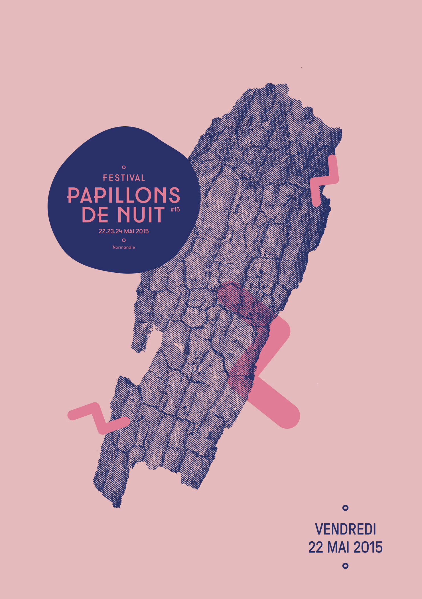 Illustration du projet P2N 15 pour le client Festival Papillons de Nuit