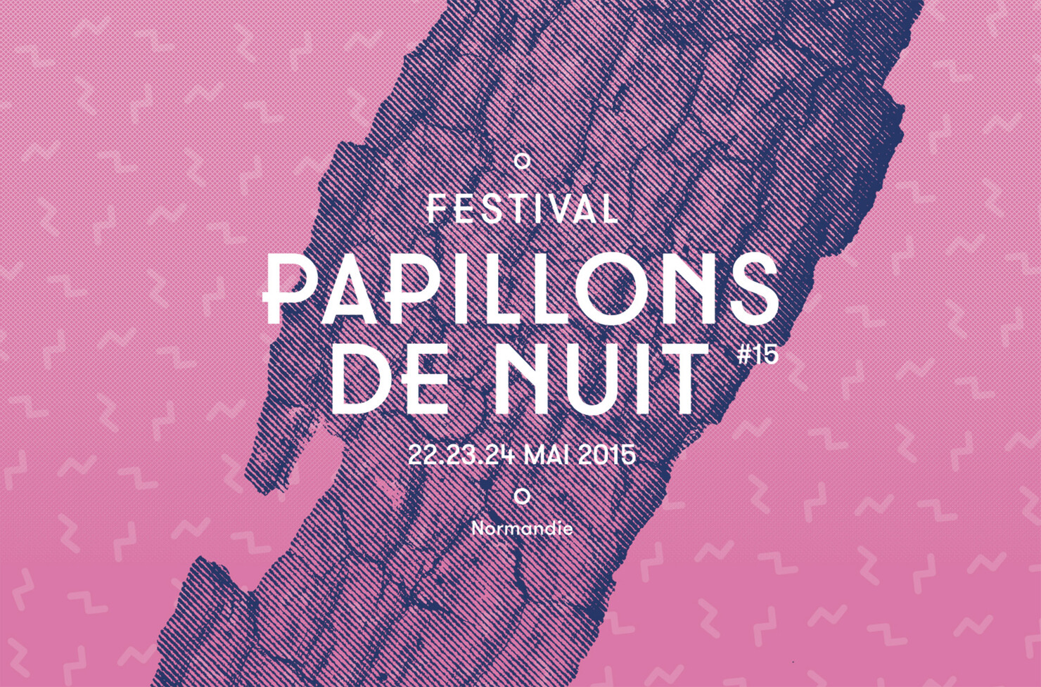 Illustration du projet P2N 15 pour le client Festival Papillons de Nuit