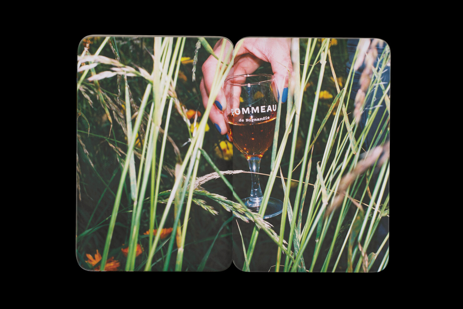 Illustration du projet Pommeau Booklet pour le client Inter­pro­fes­sion des Appel­la­tions Cidricoles