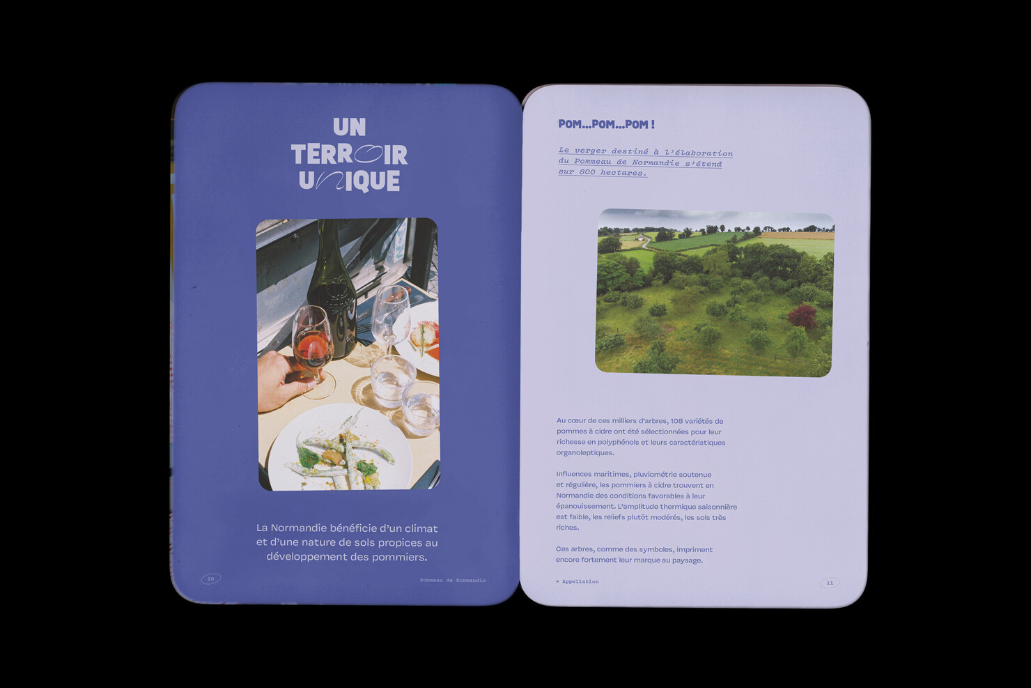 Illustration du projet Pommeau Booklet pour le client Inter­pro­fes­sion des Appel­la­tions Cidricoles